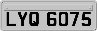 LYQ6075