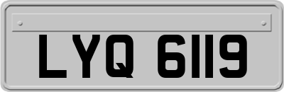 LYQ6119