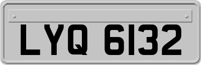 LYQ6132