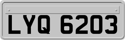 LYQ6203