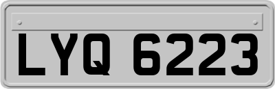 LYQ6223