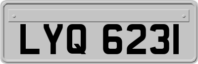 LYQ6231
