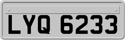 LYQ6233