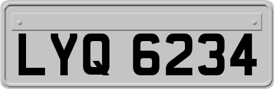 LYQ6234