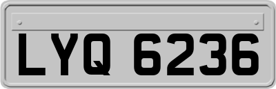 LYQ6236