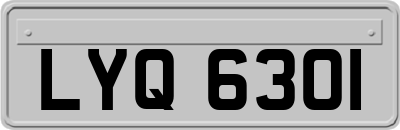 LYQ6301