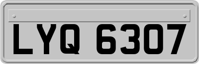 LYQ6307