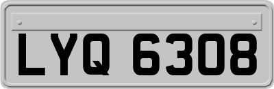 LYQ6308