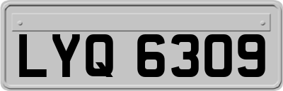 LYQ6309