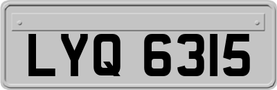 LYQ6315