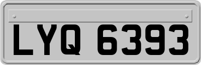 LYQ6393