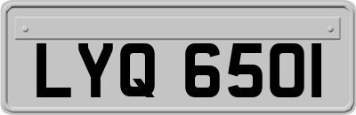 LYQ6501