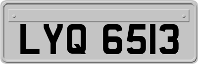 LYQ6513