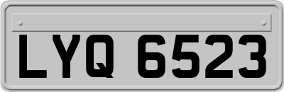 LYQ6523