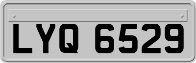 LYQ6529