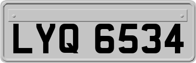 LYQ6534
