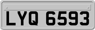LYQ6593