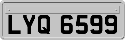 LYQ6599