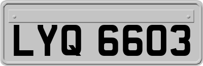 LYQ6603