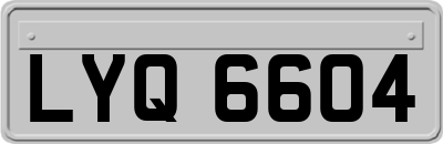 LYQ6604