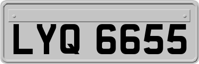 LYQ6655