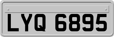 LYQ6895
