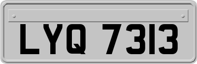 LYQ7313