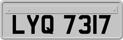 LYQ7317