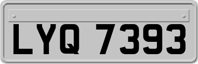 LYQ7393