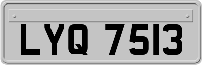 LYQ7513