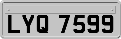 LYQ7599