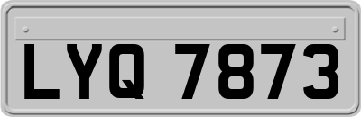 LYQ7873