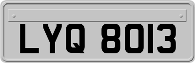 LYQ8013