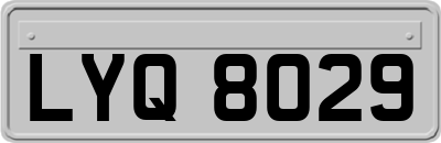 LYQ8029