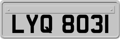 LYQ8031