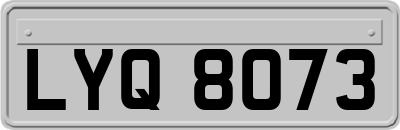 LYQ8073