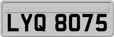 LYQ8075