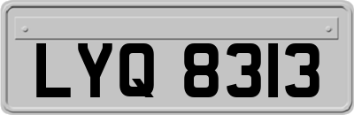 LYQ8313
