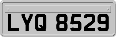 LYQ8529