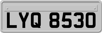 LYQ8530