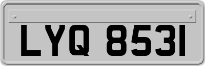 LYQ8531