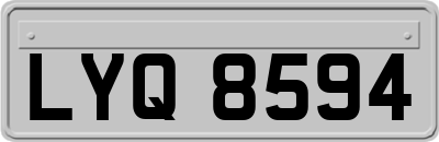 LYQ8594