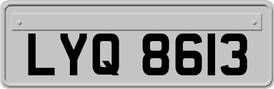 LYQ8613
