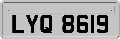 LYQ8619