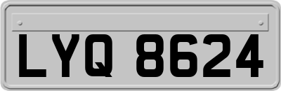 LYQ8624