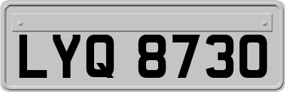 LYQ8730