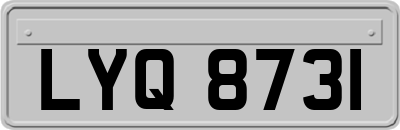 LYQ8731