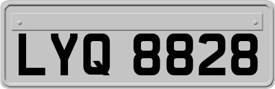 LYQ8828