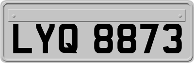 LYQ8873
