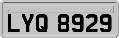 LYQ8929